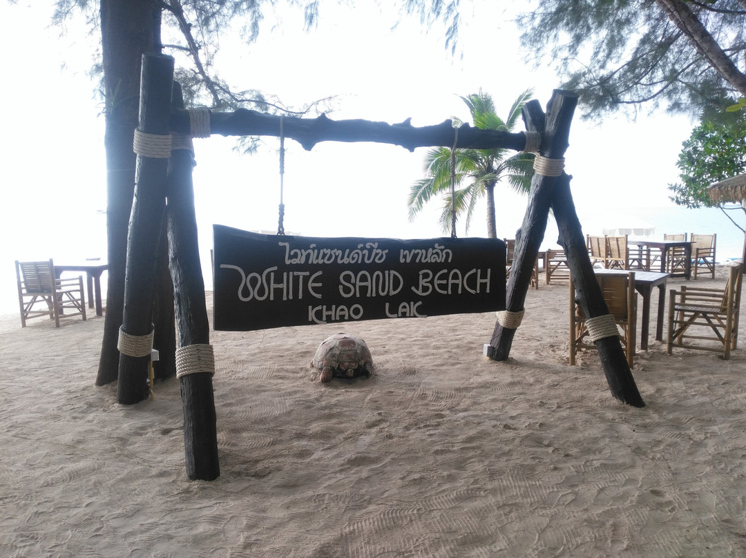 White Sand Beach景点图片