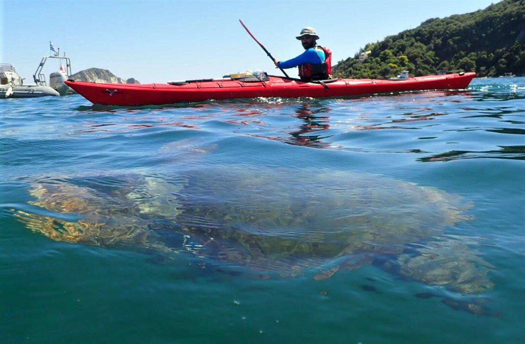 Sea Kayaking Zakynthos景点图片