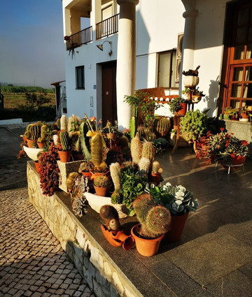 Guesthouse A Lareira主图