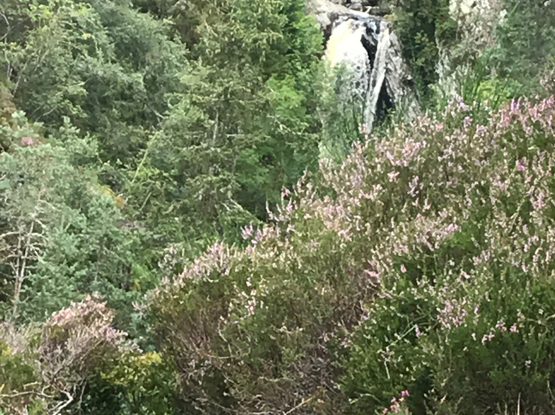 Falls of Bruar景点图片