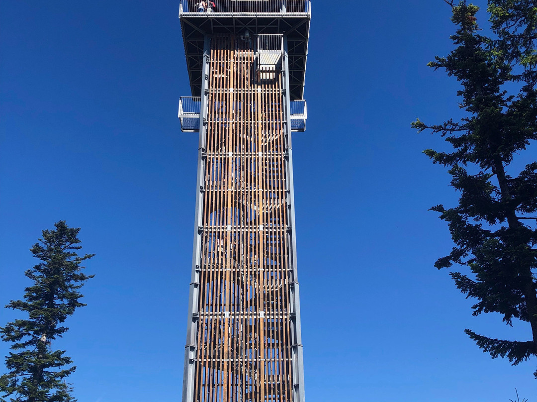 Špičák Observation Deck景点图片