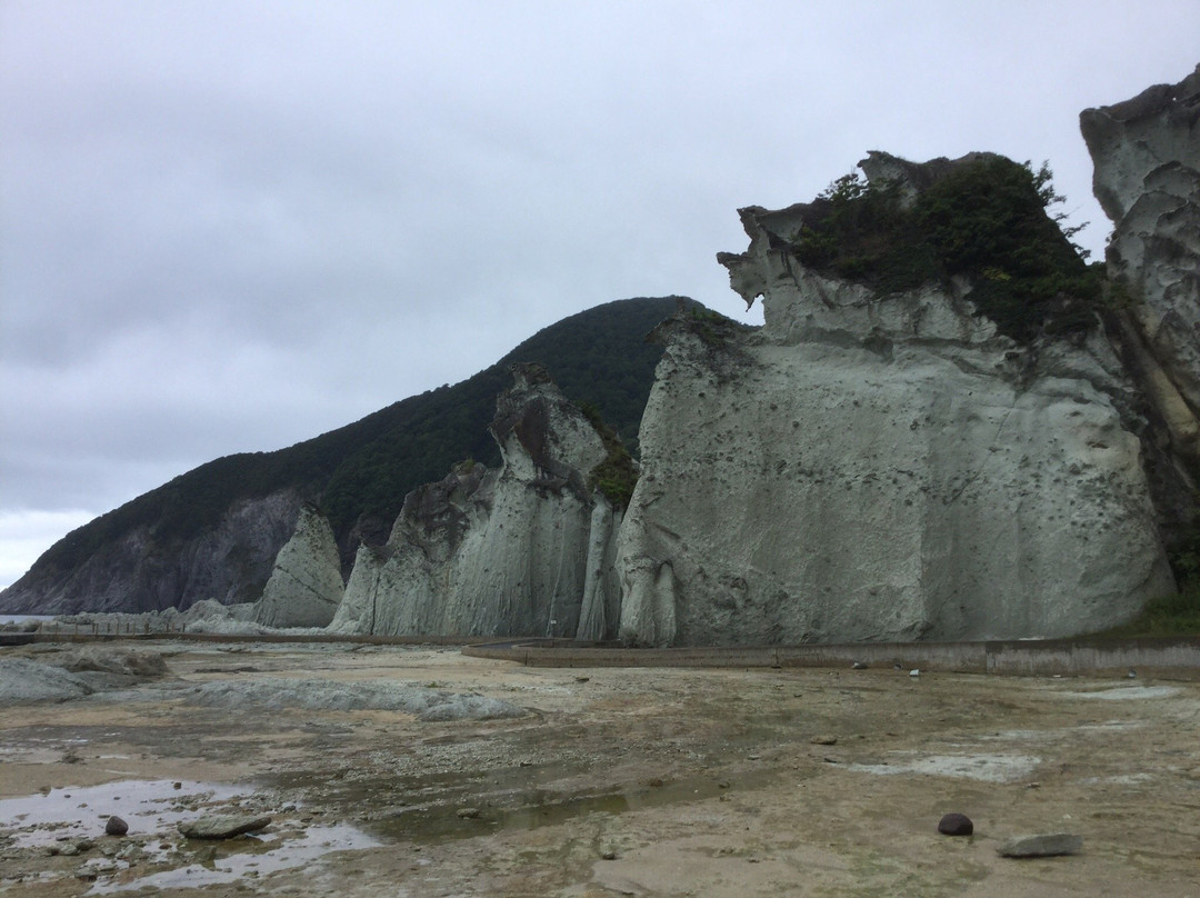 Sai-Hotokegaura Sightseeing Boat景点图片