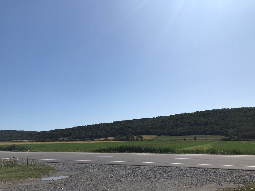 Chez Choiniere主图