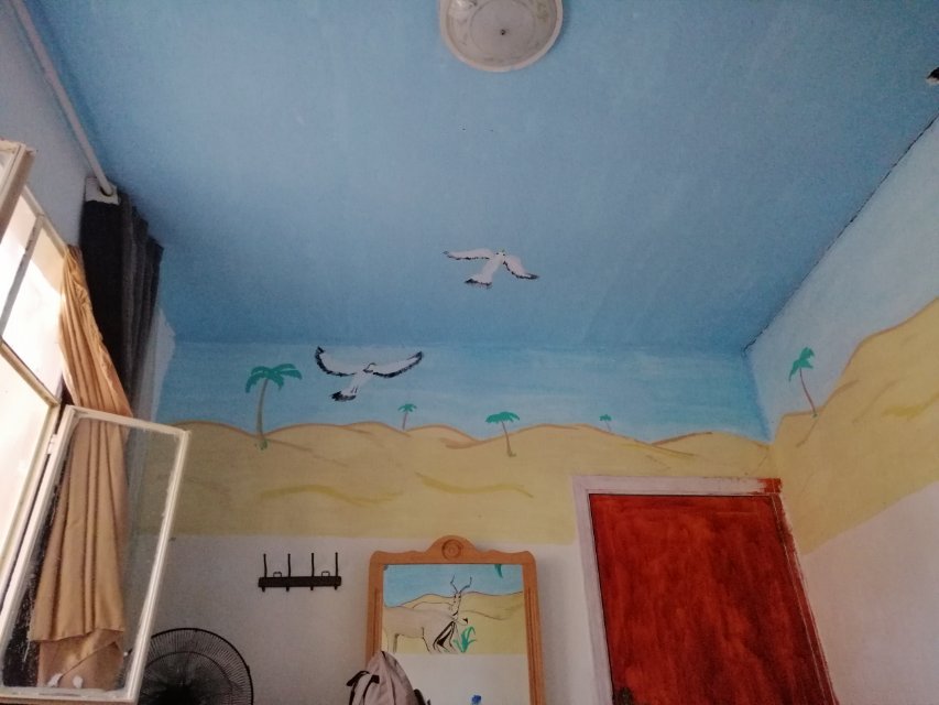 Dana Moon Hotel-官方