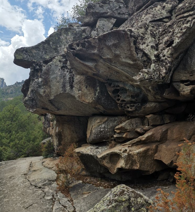 Vallée du Tavignano景点图片