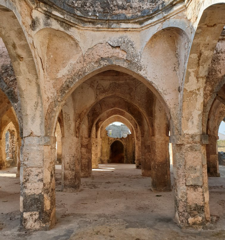 Great Mosque of Kilwa景点图片