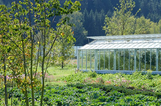 Grune Erde-Welt-Pettenbach必去景点