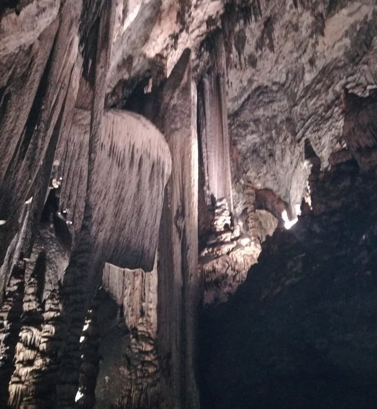 Cuevas de Arta景点图片