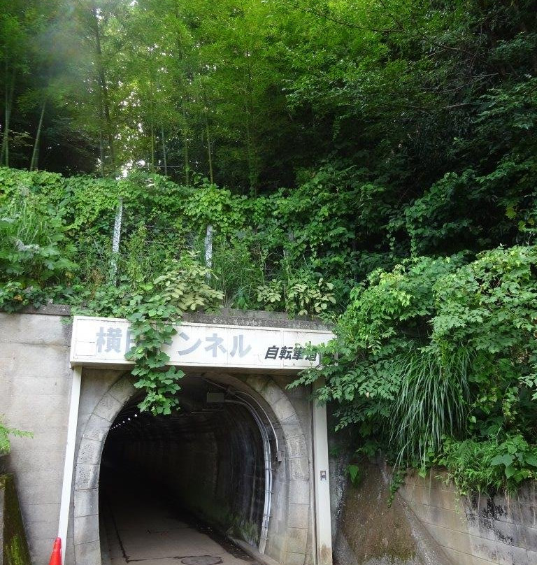 Yokota Tunnel-武藏村山市必去景点