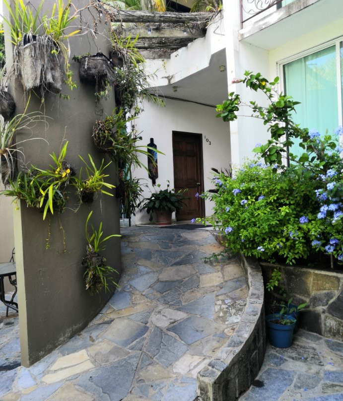 Hotel Camino Surreal Xilitla主图