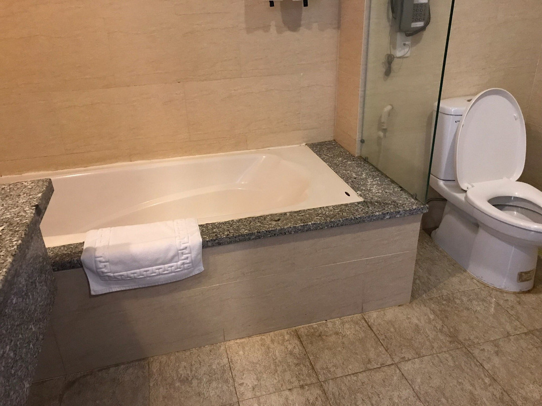 西贡班梅酒店主图