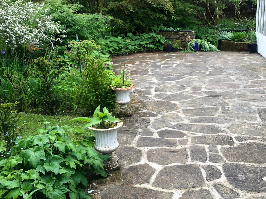 Salthill Garden-Mountcharles必去景点