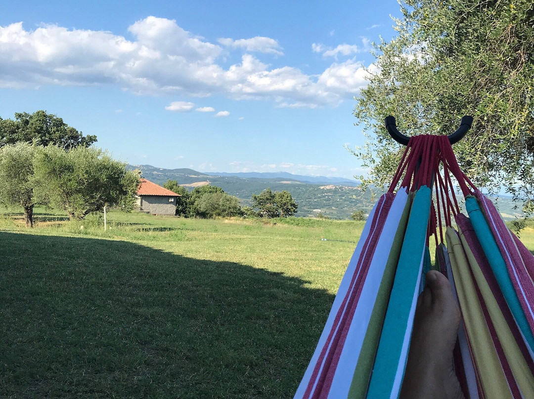 Agriturismo Le Querce主图