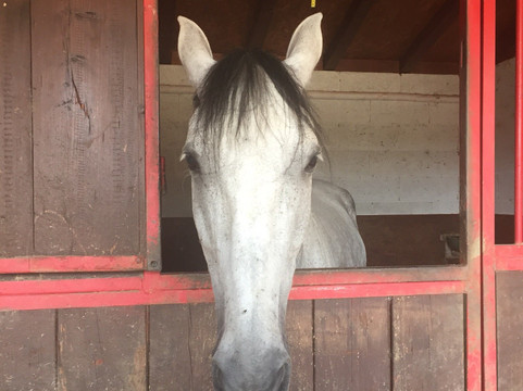 Ac Ranch-Carentino必去景点