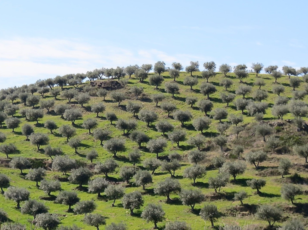 Agroturismo Casal de Castro主图