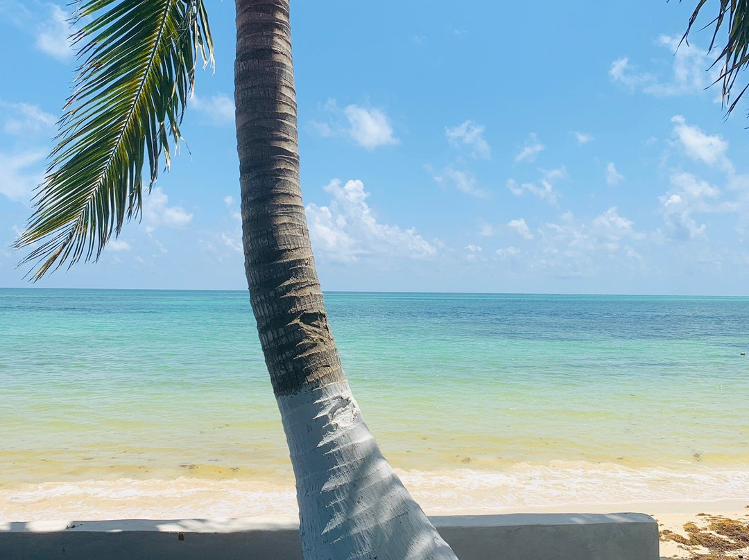 Villas Roseliz主图