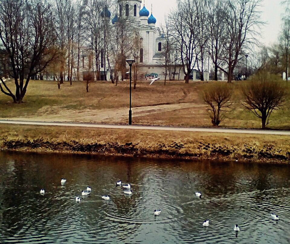 Temple New Martyrs and Confessors of Russia景点图片