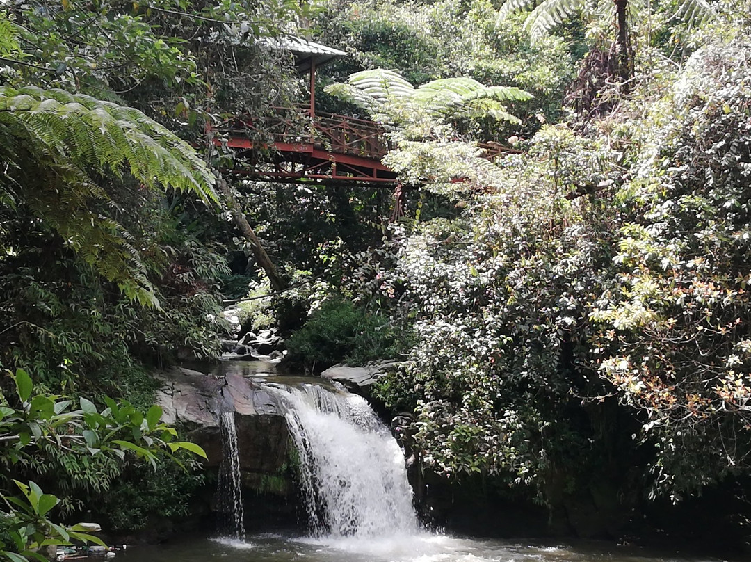 Parit falls-丹那拉塔必去景点