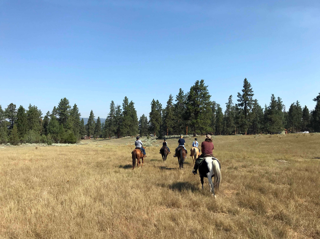 Paws Up Montana主图