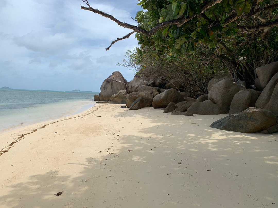 Anse Citron Beach景点图片