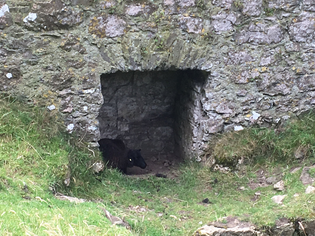 Castle Roche-Dundalk必去景点