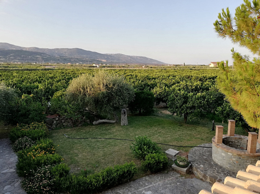 Agriturismo L' Agrumeto主图