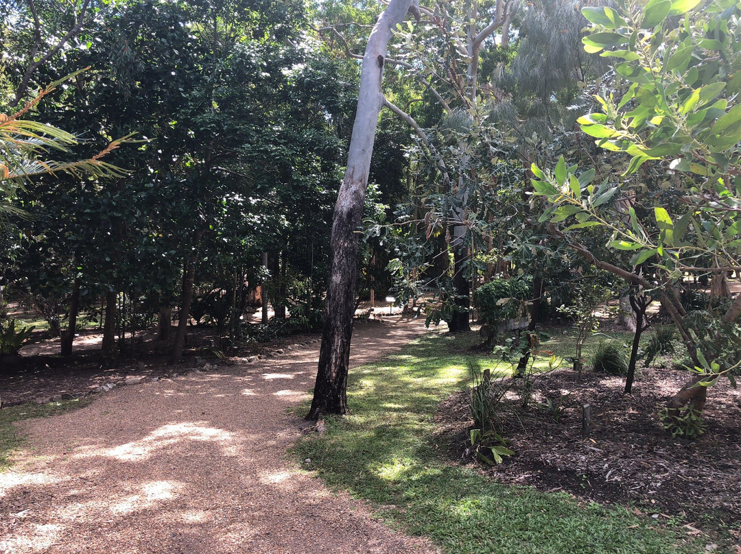 Cooktown Botanical Gardens景点图片