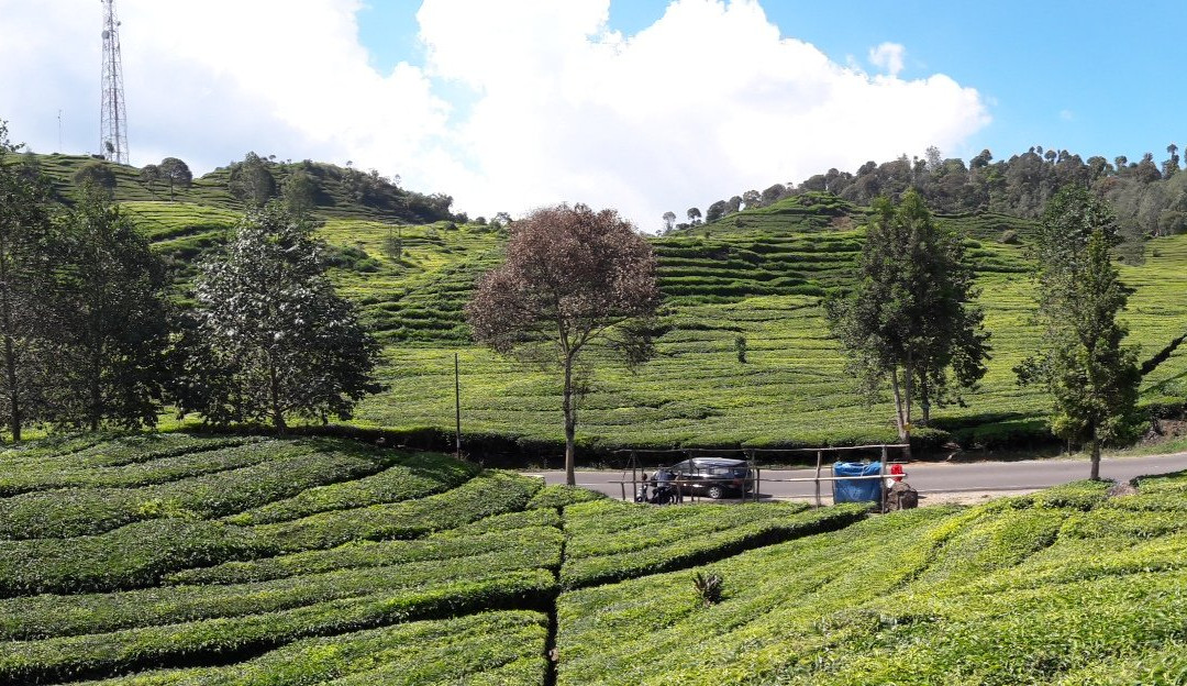 7 Summits Travel-万隆必去景点