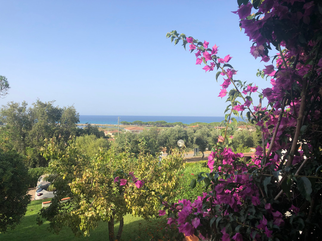 Villa Mercedes B&B主图