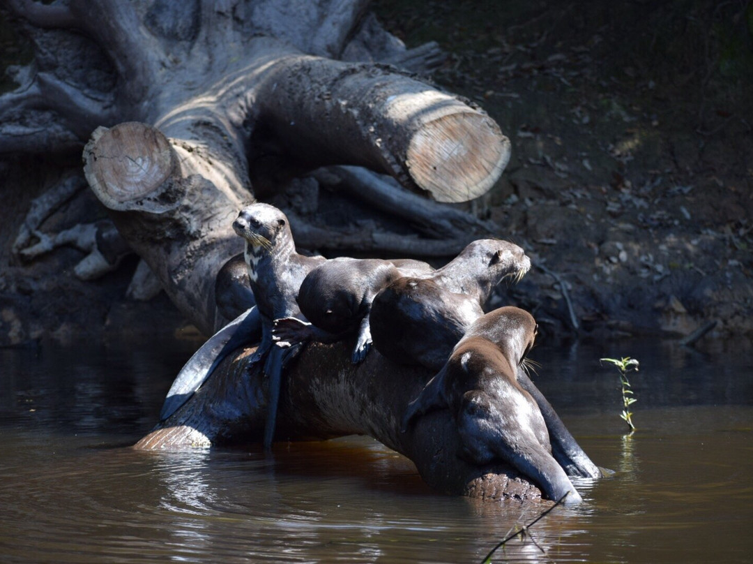 Hotel Ueso Pantanal主图