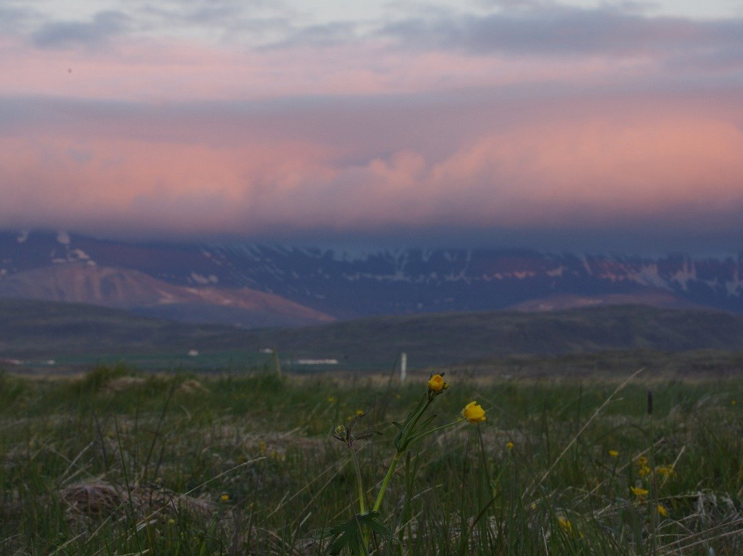 Iceland Guesthouse - Hvítá主图