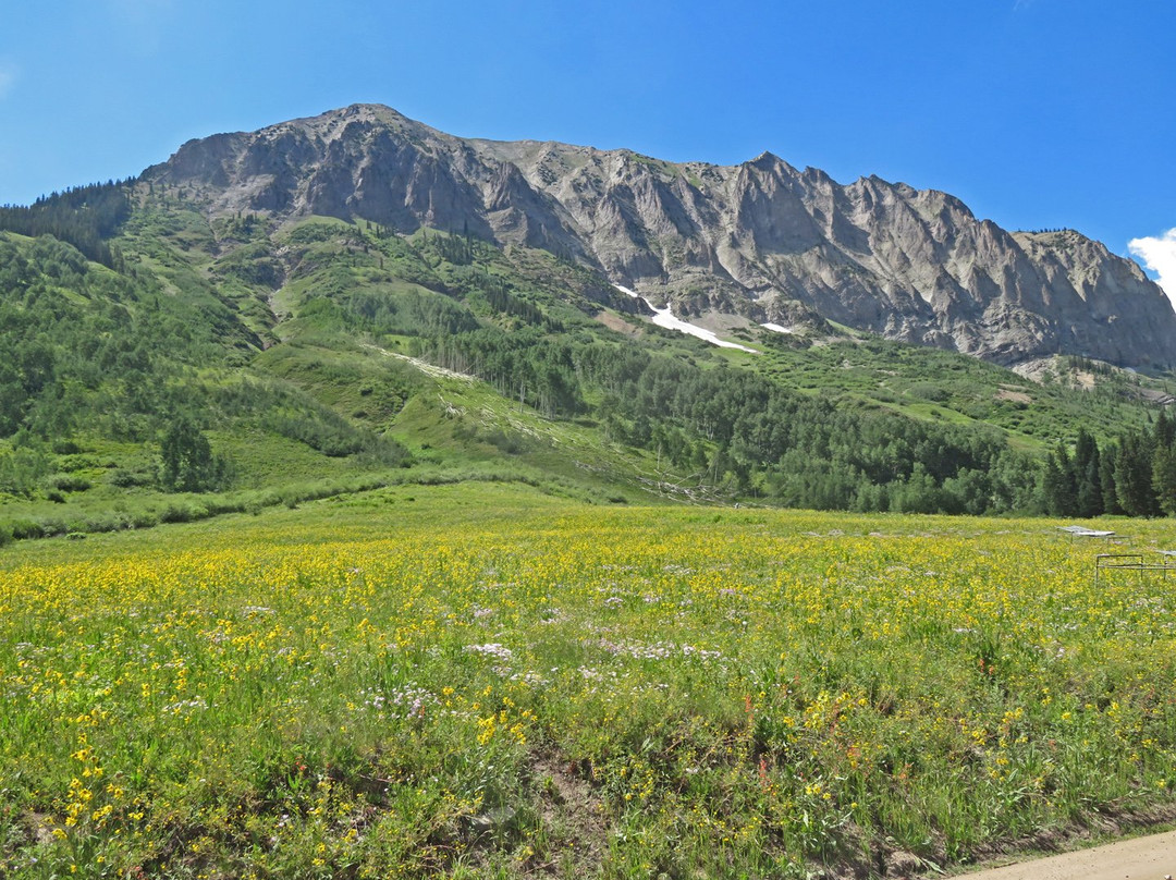 Schofield Pass-克雷斯特德比特必去景点