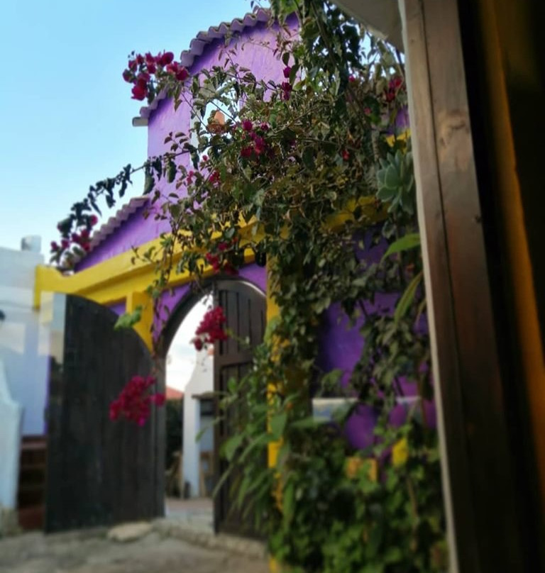 Wepa La Pepa Campestre主图