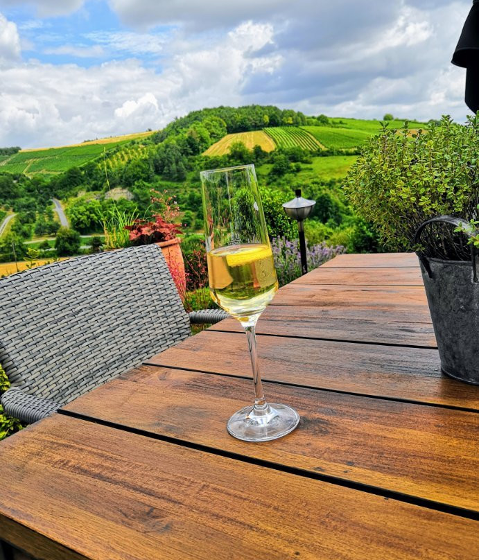 贝克斯坦奈立本霍夫酒店主图