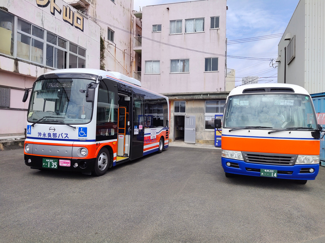Okinoerabu Bus Kigyodan景点图片