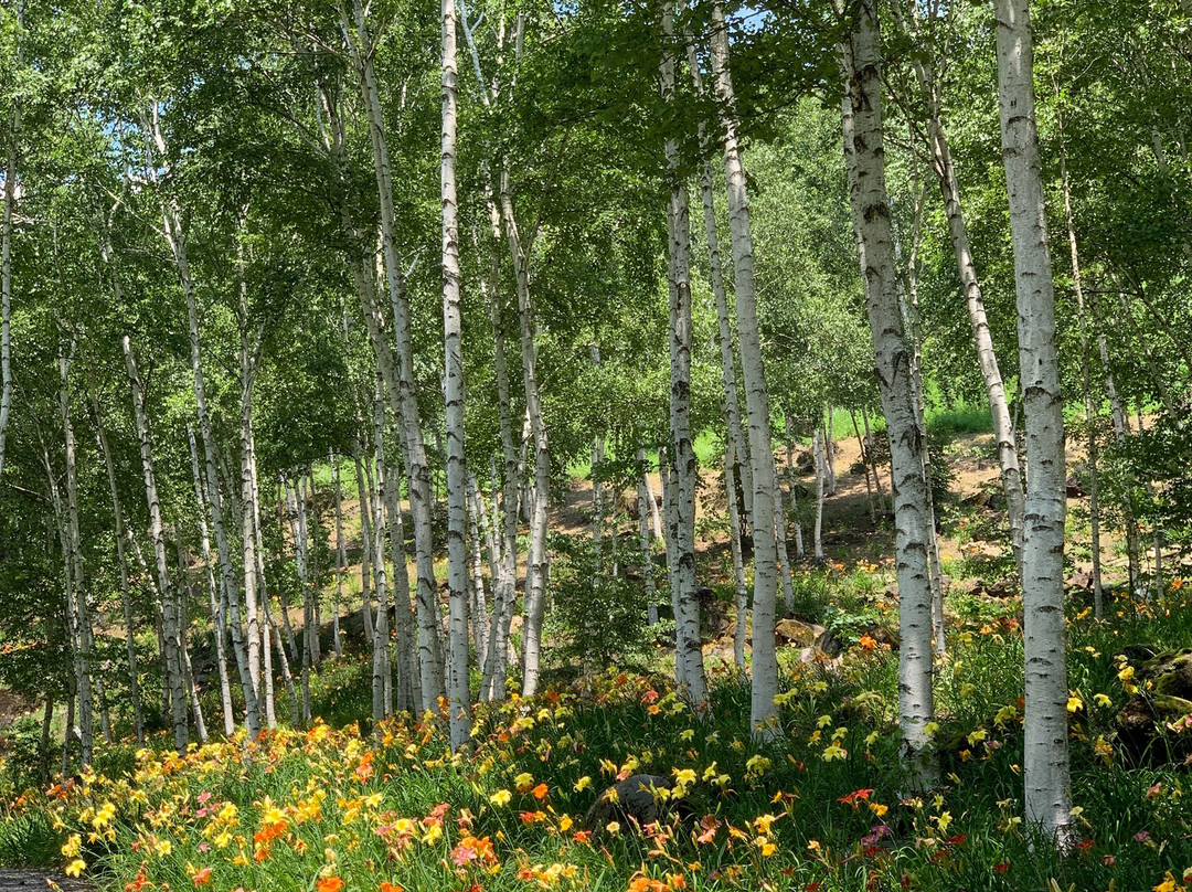 Fujimi Kogen Rresort Hananosato-富士见町必去景点