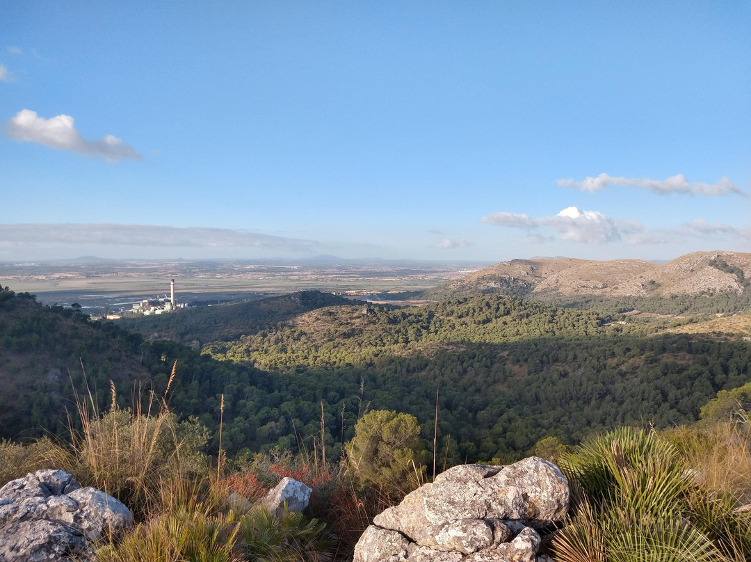 Puig de Sant Marti景点图片