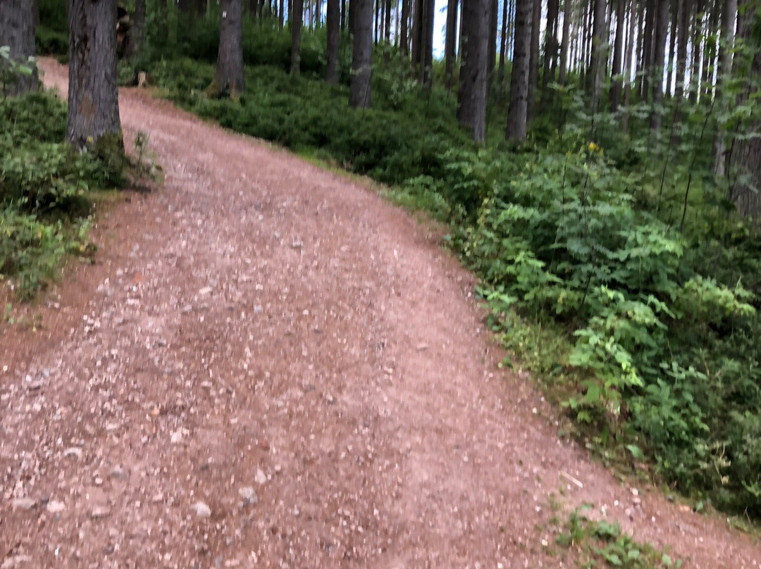 Schluehuewanapark-Grafenhausen必去景点