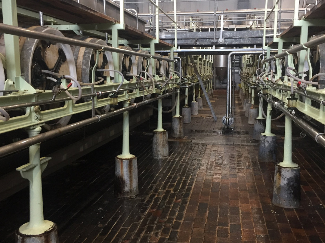 Marston's Brewery Tour景点图片