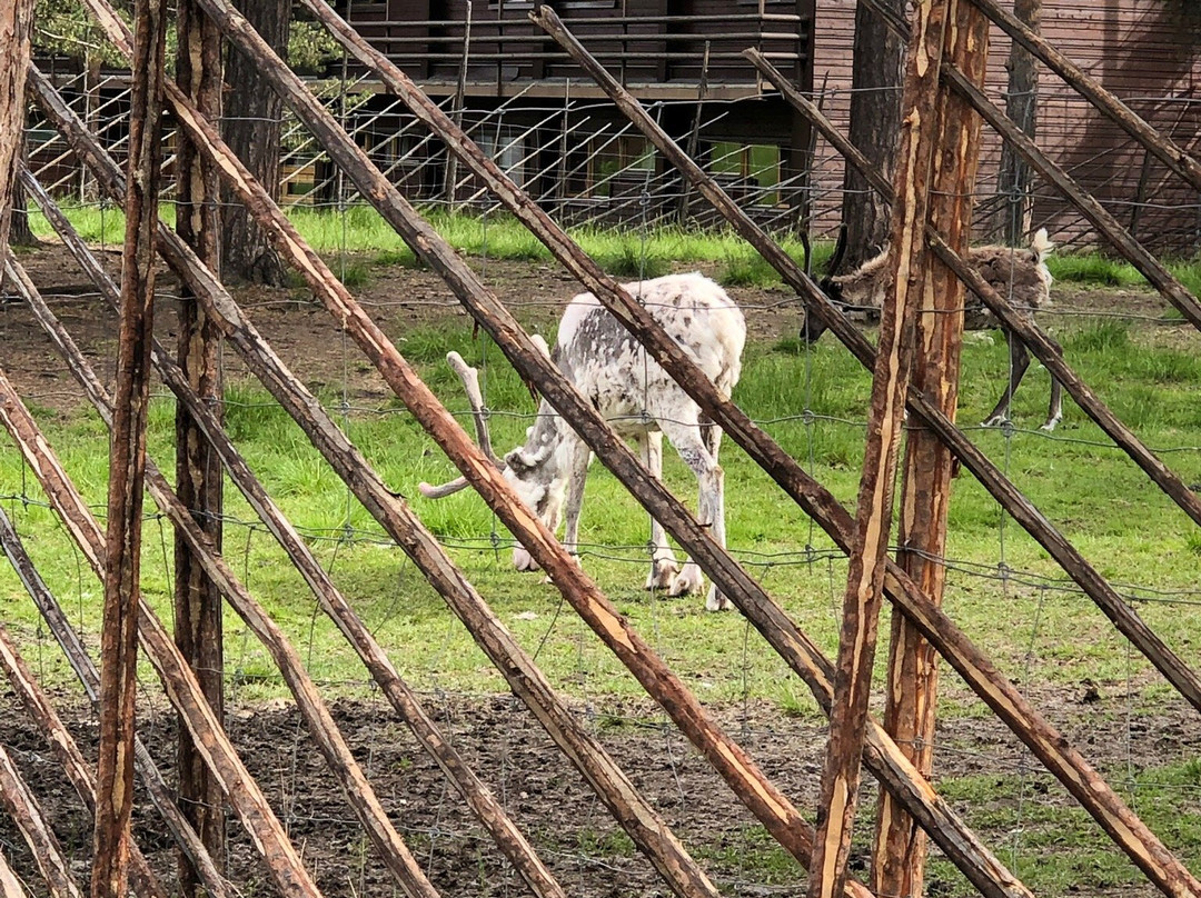 Sápmi Park-Karasjok必去景点