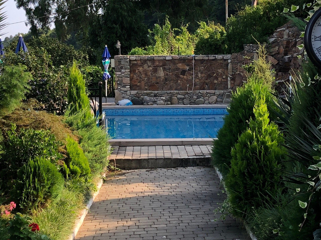 Mount Villa Kvariati主图