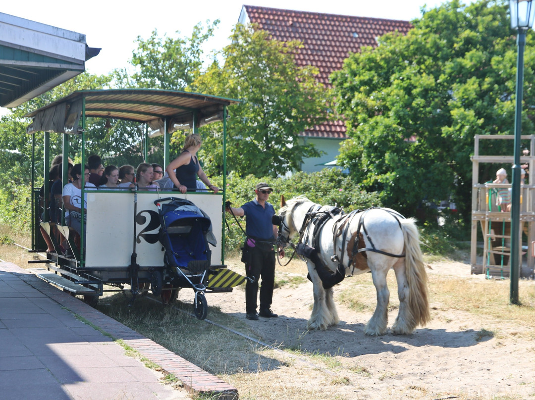 Museums Pferdebahn-斯匹科罗格必去景点