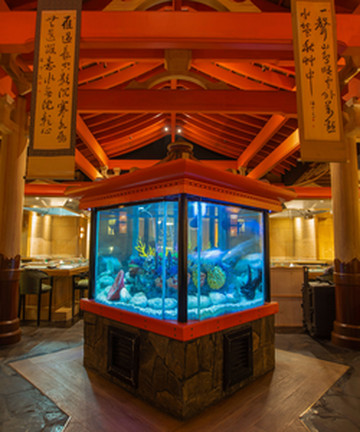 Shogun Japanese Restaurant餐厅图片