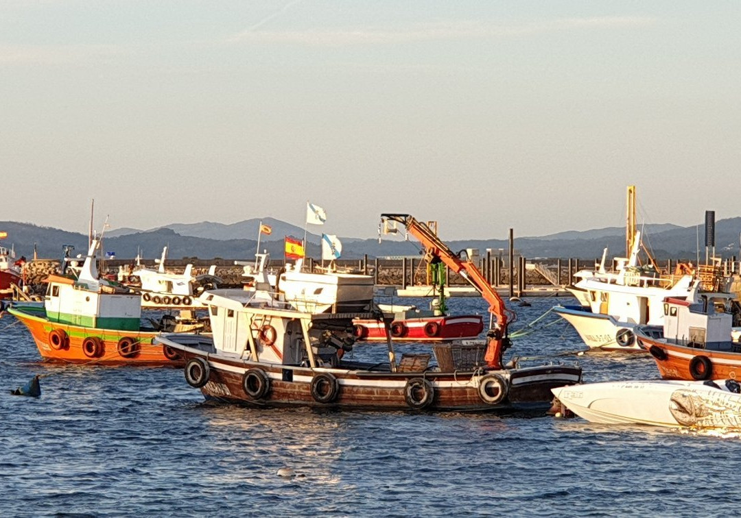 Porto do Xufre景点图片