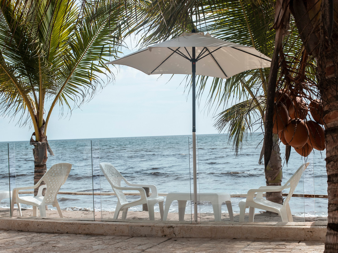 Casa Danae Hotel主图