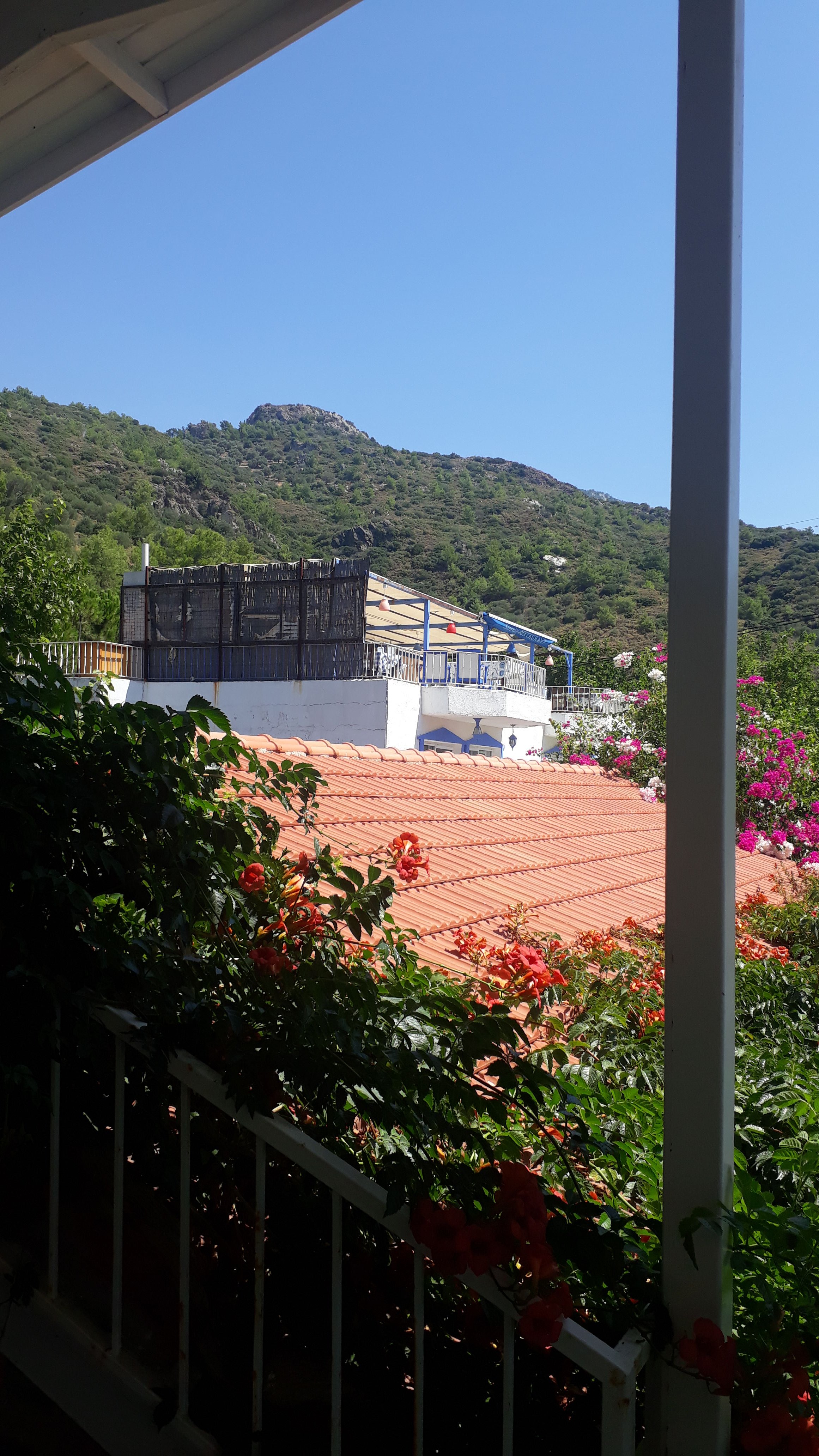 Ortam Pension-官方