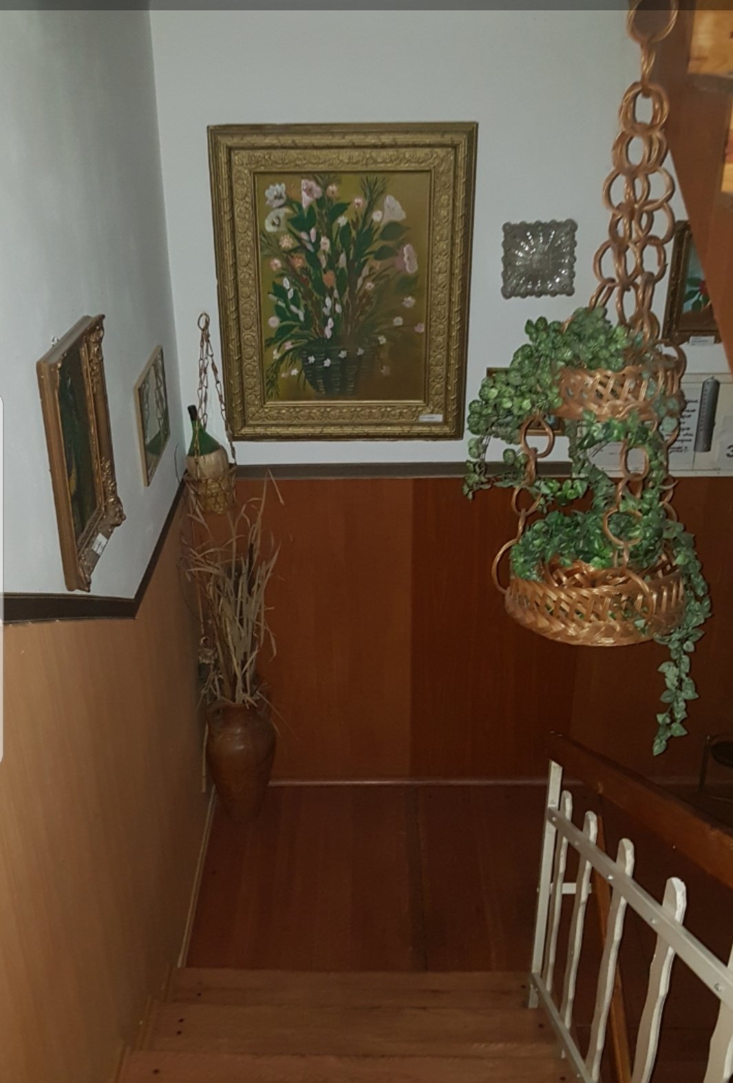 Laguna Panzio-官方