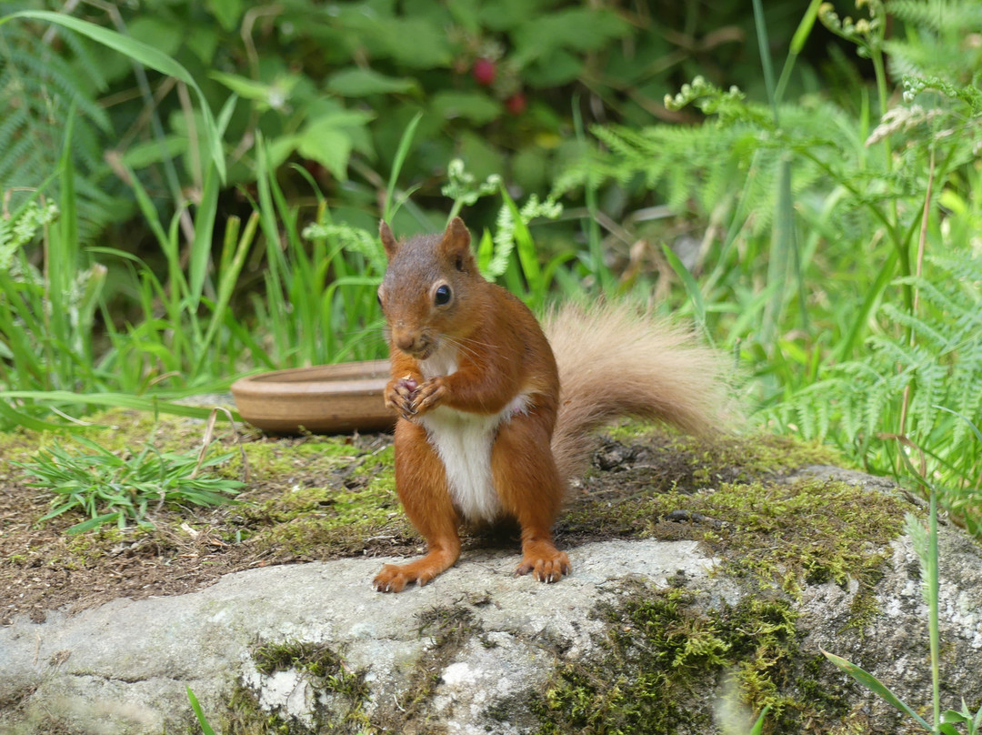 Argyll Beaver Centre-Lochgilphead必去景点