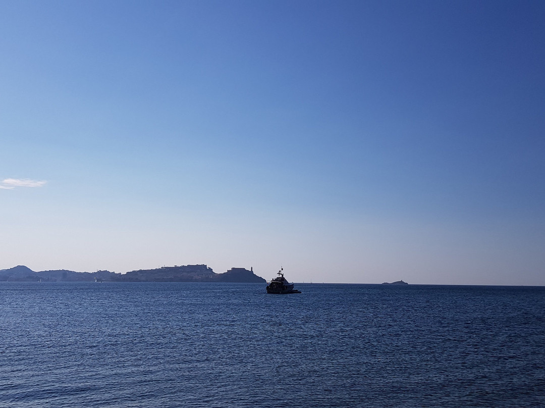 Unica Diving Elba景点图片