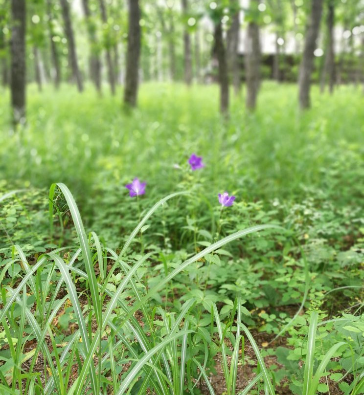 Nakasatsunai Museum-中札内村必去景点